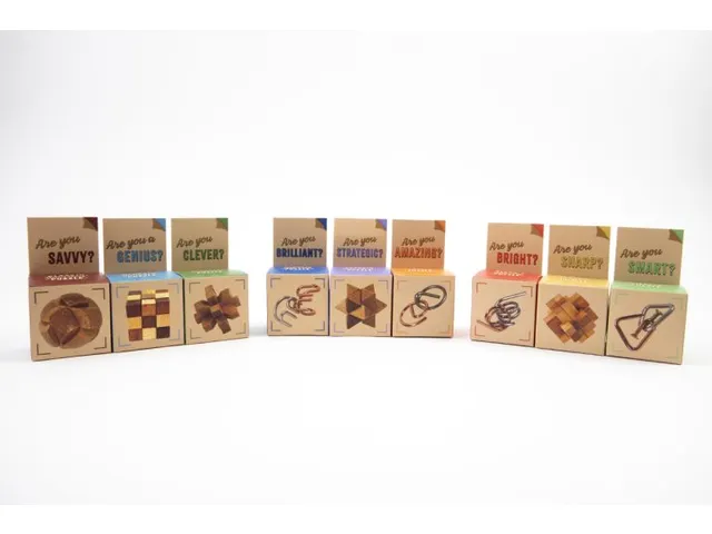 Recent Toys "Are You...?" Puzzels display 27 stuks 14+