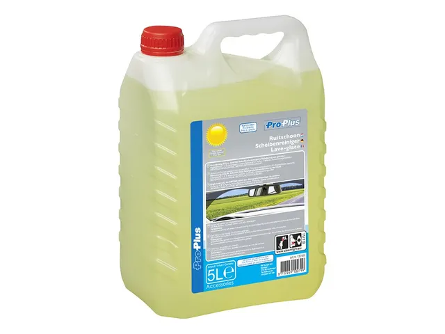 Ruitenvloeistof ProPlus zomer kant en klaar 5 Liter
