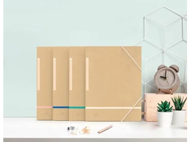 elastomap A4, karton, naturel assorti, 5 stuks