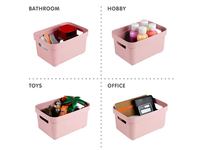 Sigma Home opbergbox 2,5L roze - 17,7x12,8x9,3cm