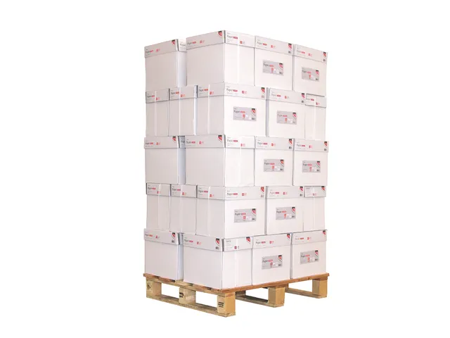 Kopieerpapier Quantore Economy A4 80 Gram Nonstop Wit Pallet