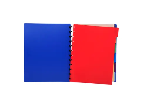 Tabbladen PP A4 voor showalb/ring 6 tabs