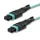 StarTech.com MPO12PL2M InfiniBand en Glasvezelkabel 2 meter MPO/MTP Aq