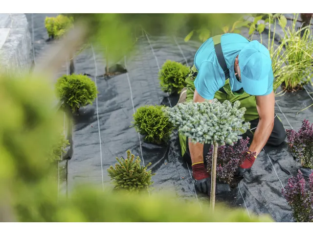 Worteldoek TerCasa zwart 10m2 100g/m2 gevouwen