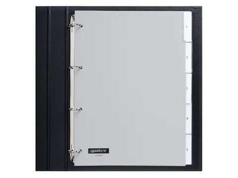 Tabbladen Quantore A4 4-gaats 5-delig met venster grijs PP