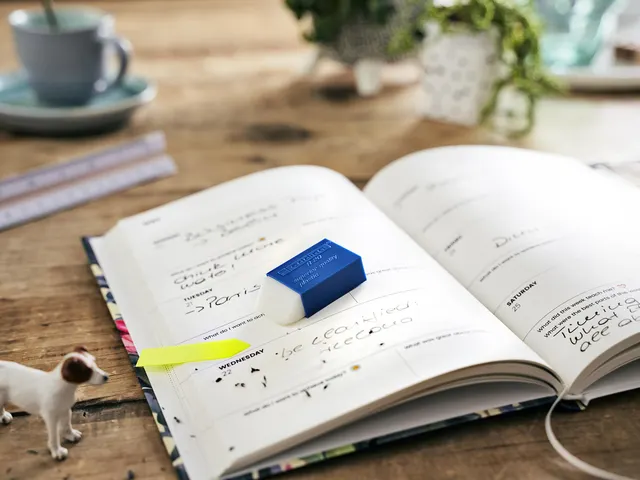 Gum edding R20 met kunststof blauwen houder 2 stuks