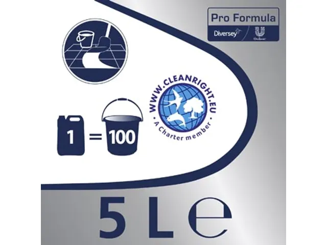 Cif Allesreiniger Citroen 5 Liter