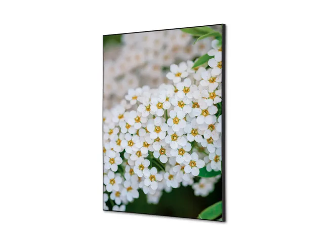 Wanddecoratie Textiel Set A2 Witte Bloem Spirea