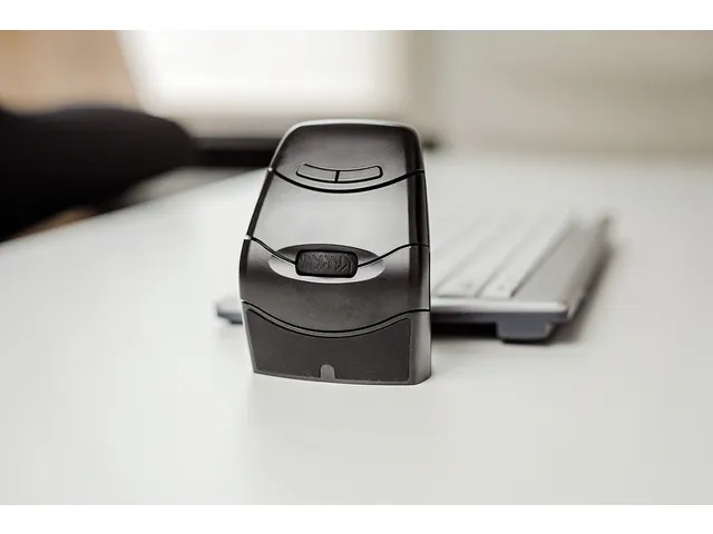 BakkerElkhuizen DXT 3 Precision Mouse draadloos Zwart