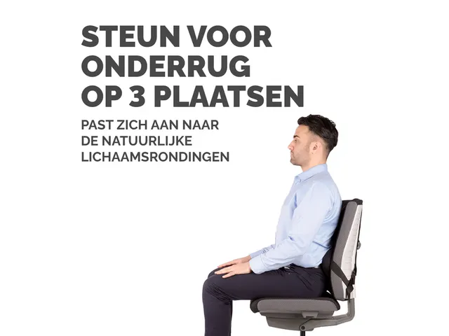 Support dorsal Fellowes Pro Ultime noir