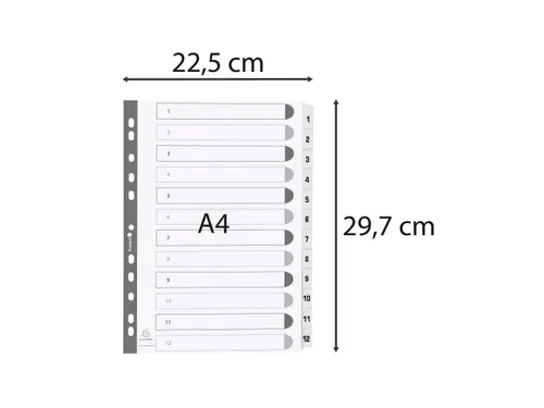 Bedrukte tabbladen A4 geplastificeerde tabs 12-delig 1-12 Wit