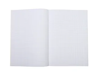 Schrift Qbasic A4 ruit 5mm 80blz 70gr assorti - 5