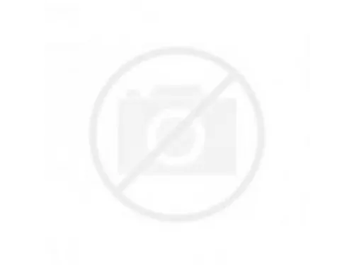 Kwast Qrea varkenshaar nr 6 6,8mm