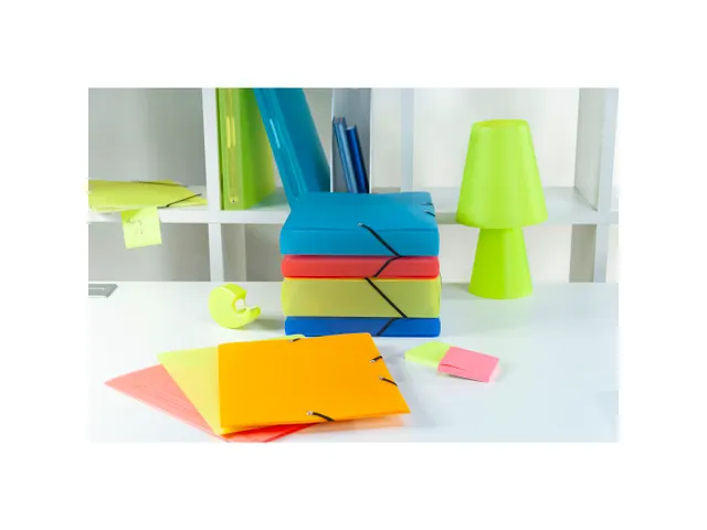 Exacompta Elastomap Linicolor PP A4 Assorti