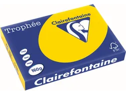 Trophée Pastel gekleurd papier A3 160 gram 250vel Goudgeel