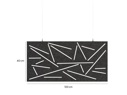 Akoestisch plafondpaneel met patroon uitsnede 60x120cm Zwart