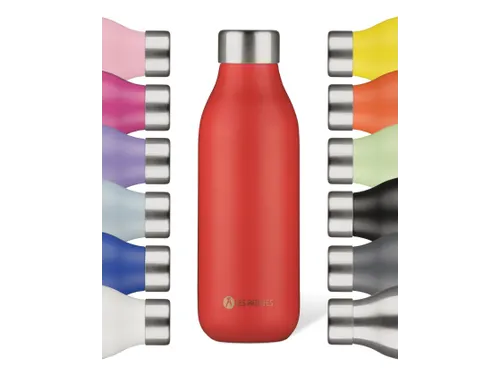 Thermosfles 2.0 Les Artistes Paris 500ml Django