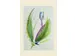 Aquarelpapier da capo 50x65 cm 165 g/m2pak 25 vel VF5003330