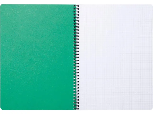 FOREVER spiraalschrift A4 90g geruit groen