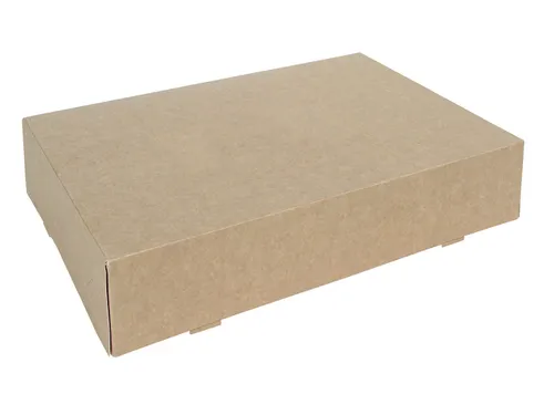 Cateringdoos IEZZY 35cm plasticvrij bruin 10 stuks