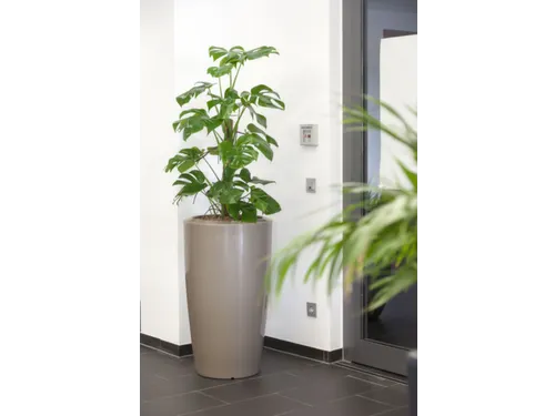 plantenzuil,rond,PE,beigegrijs,HxØ 900x510mm,35l