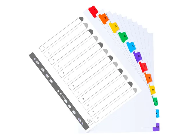 Tabblad Karton 160 Gram A4 + index 12 tabs wit
