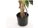 Kunstplant Mica Ficus groen in pot 85x150cm
