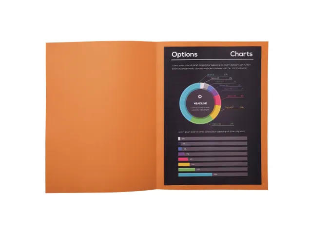 100 inlegmappen ROCK''S 80 22x31cm Havana