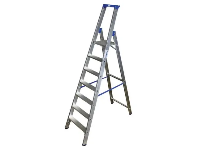 Ladder Aluminium Bordes H 1 65M 7Treden Incl. Bordes