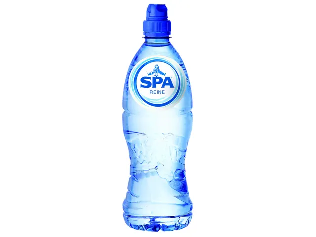 Water Spa Reine blauw sportdop petfles 750ml