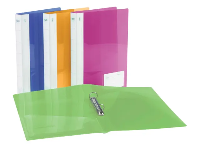 Ringband Rexel Ice A4 2-rings O-mechaniek 25mm PP assorti