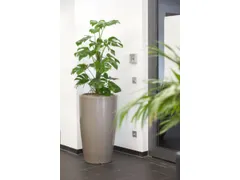 plantenzuil,rond,PE,beigegrijs,HxØ 1100x620mm,80l