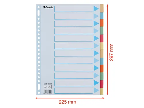 Tabbladen Esselte Premium A4 12-delig karton 23-rings assorti