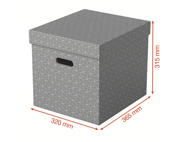 Esselte Home Kubus Opbergdoos Grijs 320x315x365mm Set van 3
