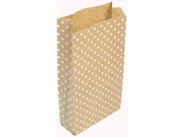 Cadeauzak Clairefontaine 15x31x6cm kraft Sterren 50 stuks