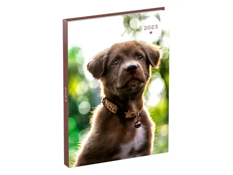 Agenda 2023 110x150 My Favourite Friends 7dagen/2pagina's PUPPIE met h