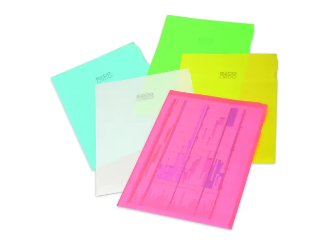Ordo Classico L-map FSC A4 80 gram assorti 10 stuks