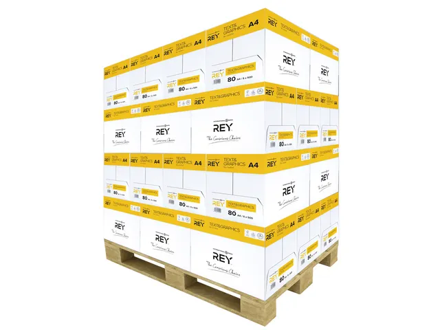 Kopieerpapier Rey Text Graphics A4 80 Gram Wit Pallet
