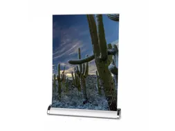 Roll-Banner Mini A3 Tafeldisplay