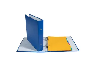 Ringmap PP 17X22 2R 25mm geassorteerd - 12