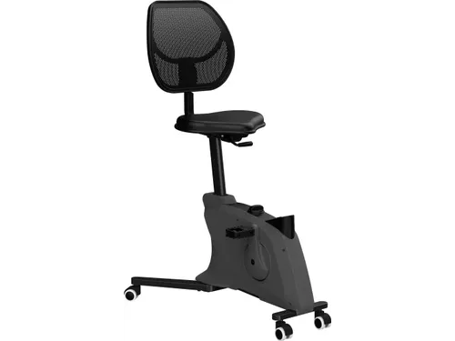 Bureaufiets Ross