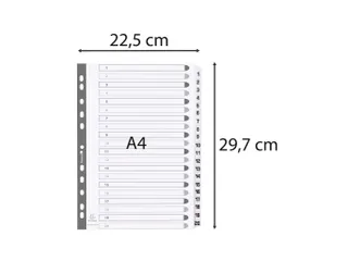 Bedrukte tabbladen Karton geplastificeerde tabs 20-delig 1-20 A4 Wit - 1