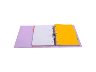 Ordner PVC Prem'Touc h A4 50 mm geass. - 17