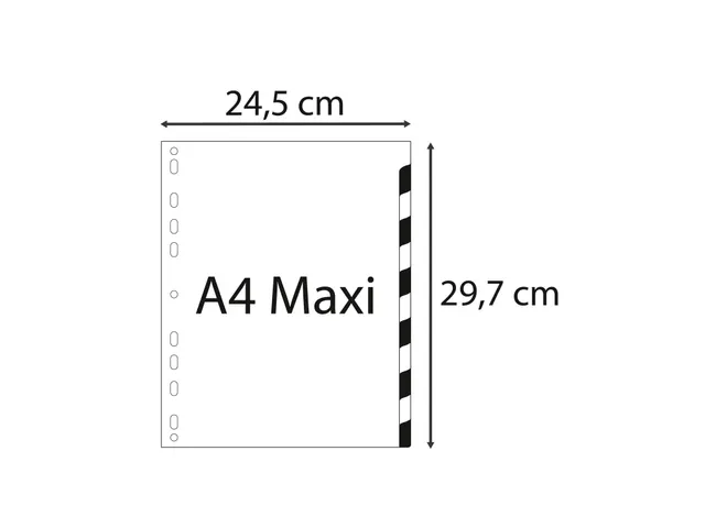 Bedrukte Tabbladen A4+ Jan-dec Assorti Pp 0.12mm 12-delig 11-gaats(FR)