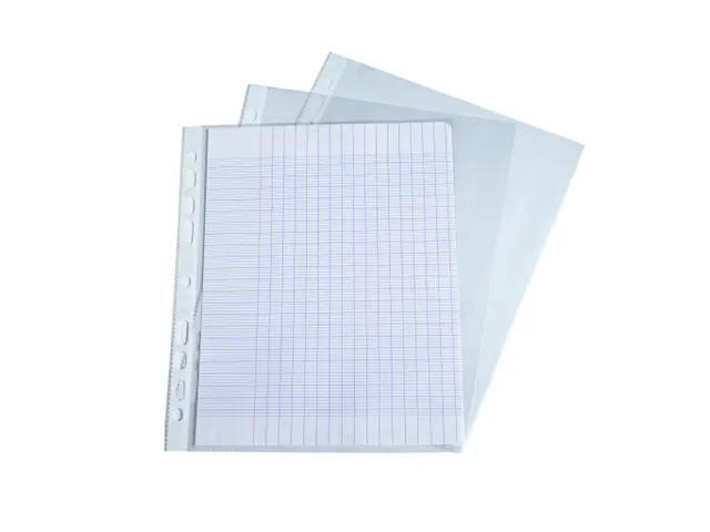 Sachet de 10 pochettes perforées polypropylène grainé format écoli