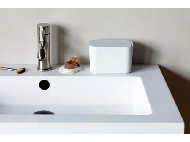 Mindset Bac à Déchets, Brabantia