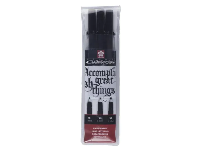 Set calligraphie Sakura Pigma 3 largeurs noir