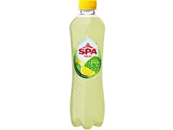 Spa Fruit Lemon Cactus Bruisend Fles van 40 CL Pak van 6 stuks