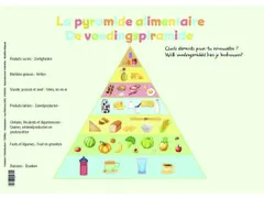 Sous-Mains La pyramide alimentaire NL+FR42 x 30 cm