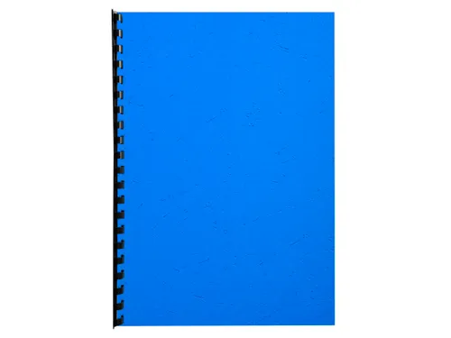 Pk 100Vl Forever Fra Nce Blauw A4 270G